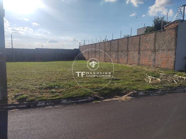 #186 - Área para Venda em Araraquara - SP - 2