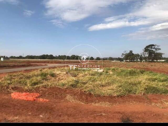#246 - Não Definido para Venda em Araraquara - SP