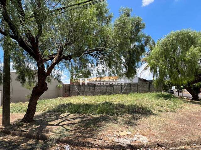 Venda em Jardim das Paineiras - Araraquara