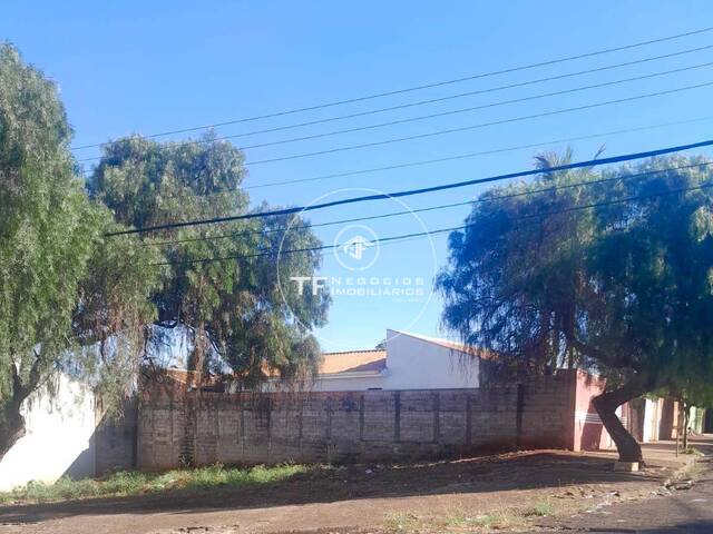 #315 - Área para Venda em Araraquara - SP - 3