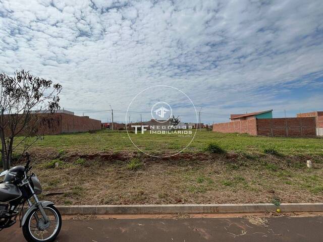 #326 - Área para Venda em Araraquara - SP - 3