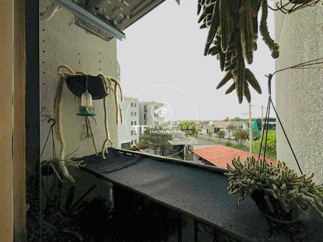 Apartamento para Venda em Araraquara - 5