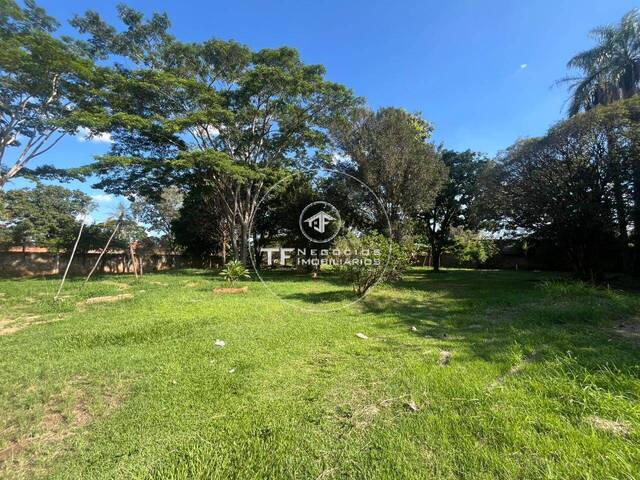 Terreno para Venda em Araraquara - 4