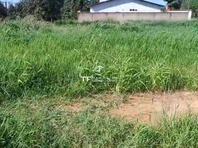 Venda em Cidade Jardim - Araraquara
