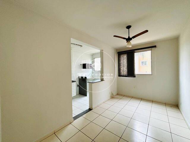 #516 - Apartamento para Locação em Araraquara - SP - 3